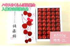 【令和7年産先行予約】 【入賞者出荷限定】 JA ハウスさくらんぼ 「佐藤錦」 約500g (特秀 2L) 化粧箱入り 《令和7年6月上旬～中旬発送》 『JA山形おきたま』 サクランボ 果物 フルーツ 山形県 南陽市 [1111]