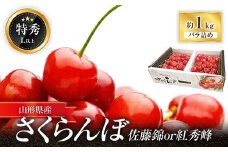 【令和7年産先行予約】 さくらんぼ「佐藤錦または紅秀峰」 約1kg (特秀 L以上) 《令和7年6月中旬～発送》 『マルエ青果』 先行予約 サクランボ 果物 フルーツ 山形県 南陽市 [1115]
