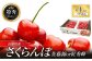 ※画像はイメージです。実際の梱包資材や梱包方法は写真と異なる場合がございます。