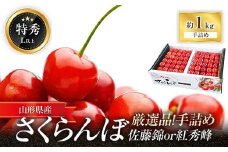 【令和7年産先行予約】 厳選品！手詰め さくらんぼ 「佐藤錦または紅秀峰」 約1kg (特秀 L以上) 《令和7年6月中旬～発送》 『マルエ青果』 先行予約 サクランボ 果物 フルーツ 山形県 南陽市 [1114]