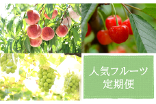 【令和7年産先行予約】 《定期便3回》 人気フルーツ定期便 『フードシステムズ』 山形県 南陽市 [1149-R7]