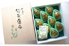 【令和6年産先行予約】 大玉 シルバーベル 約5kg (8～10玉 特秀) 《令和6年12月中旬～発送》 『長谷部農園』 洋梨 果物 フルーツ 産地直送 生産農家直送 山形県 南陽市 [1161]