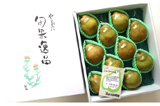 【令和6年産先行予約】 大玉 シルバーベル 約5kg (8～10玉 秀) 《令和6年12月中旬～発送》 『長谷部農園』 洋梨 果物 フルーツ 産地直送 生産農家直送 山形県 南陽市 [1162]