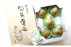 【令和6年産先行予約】 特大玉 シルバーベル 約4kg (5玉) 《令和6年12月中旬～発送》 『長谷部農園』 洋梨 果物 フルーツ 産地直送 生産農家直送 山形県 南陽市 [1163]