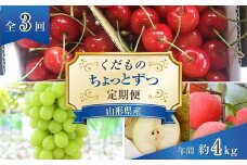 【令和6年産先行予約】 《定期便3回》 くだもの”ちょっとずつ”定期便 『南陽中央青果市場』 山形県 南陽市 [1013-R6]