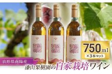 果樹園生まれの 「漆山ワイン (デラウェア)」 750ml×3本セット 『漆山果樹園』 自家栽培 山形県 南陽市 [1168]