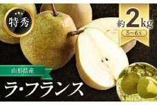 【令和7年産先行予約】 JA ラ・フランス 約2kg (5～6玉 特秀) 《令和7年11月上旬～12月上旬発送》 『JA山形おきたま』 洋梨 果物 フルーツ 山形県 南陽市 [1159-R7]