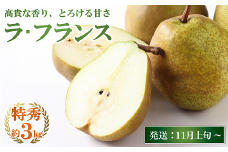 【令和7年産先行予約】 JA ラ・フランス 約3kg (8～10玉 特秀)《令和7年11月上旬～12月上旬発送》 『JA山形おきたま』 洋梨 果物 フルーツ 山形県 南陽市 [1177-R7]