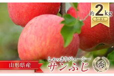 【令和7年産先行予約】 JA りんご 「サンふじ」 約2kg (5～8玉 秀) 《令和7年11月中旬～12月中旬発送》 『JA山形おきたま』 林檎 リンゴ 果物 フルーツ 山形県 南陽市 [1160-R7]