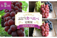 【令和7年産先行予約】 《定期便3回》 ぶどう食べ比べ 定期便 《令和7年7月～発送》 『漆山果樹園』 葡萄 ぶどう ブドウ 果物 フルーツ デザート 山形県 南陽市 [1179]