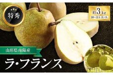 【令和6年産先行予約】 ラ・フランス 約3kg (10～11玉 特秀) 《令和6年11月頃～発送》 『生産者 鈴木 喜代美』 ラフランス 西洋梨 洋なし 訳あり 果物 フルーツ デザート 山形県 南陽市 [571]