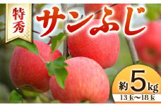 【令和7年産先行予約】 りんご 「サンふじ」 約5kg (13～18玉 特秀) 《令和7年11月下旬～発送》 『生産者 山岸 誠』 山形県 南陽市 [966]