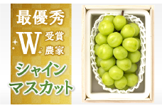 【令和7年産先行予約】【最優秀賞W受賞農家】 シャインマスカット 700g以上 (1房 特選) 《令和7年9月中旬～発送》『生産者 佐藤 大輔』 マスカット 葡萄 ぶどう 種なし 果物 フルーツ デザート 山形県 南陽市 [1031]