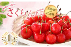 【令和7年産先行予約】 さくらんぼ 「佐藤錦または紅秀峰」 約1kg (秀 L以上) バラ詰め 《令和7年6月上旬～発送》 『南陽中央青果市場』 サクランボ 果物 フルーツ 山形県 南陽市 [1204]