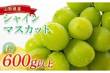 【令和7年産先行予約】 シャインマスカット 600g以上 (1房 秀) 《令和7年9月頃～発送》 『南陽中央青果市場』 マスカット ぶどう 種なし 果物 フルーツ デザート 山形県 南陽市 [1206]