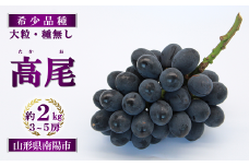 【令和7年産先行予約】 希少品種の黒系ぶどう 「高尾」 約2kg (3～5房) 《令和7年9月頃～発送》 『南陽中央青果市場』 種なし 果物 フルーツ デザート 山形県 南陽市 [1043]