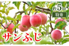 【令和7年産先行予約】 りんご 「サンふじ」 約5kg (13～18玉 特秀) パック詰 《令和7年11月中旬～発送》 『マルタニ農園』 リンゴ 山形県 南陽市 [1220]