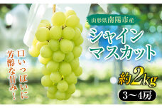 【令和6年産先行予約】 シャインマスカット 約2kg (3～4房 秀) 《令和6年9月中旬～発送》 『生産者 髙橋 利和』 南陽産 農家直送 マスカット ぶどう 種なし 果物 フルーツ デザート 山形県 南陽市 [699]