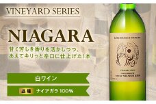 【南陽ワインプロジェクト】NIAGARA 750ml 白ワイン 山形県 南陽市 [1300]