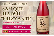 【南陽ワインプロジェクト】SAN QUE HADSU  'FRIZZANTE' 750ml スパークリングワイン 山形県 南陽市 [1302]