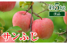 【令和7年産先行予約】 〈家庭用〉 りんご 「サンふじ」 約5kg (18玉～20玉 マル秀) パック詰 《令和7年11月中旬～発送》 『マルタニ農園』 リンゴ 山形県 南陽市 [1318]