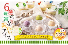 【山形の極み】 プレミアムリッチアイスセット 6個 山形県 南陽市 [1308]