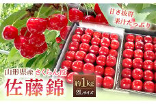 【令和7年産先行予約】 さくらんぼ 「佐藤錦」 約1kg (秀 2L以上) パック詰め 《令和7年6月中旬～発送》 『田口農園』 サクランボ 果物 フルーツ 産地直送 生産農家直送 山形県 南陽市 [1396]