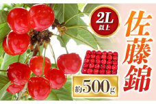 【令和7年産先行予約】 さくらんぼ 「佐藤錦」 約500g (秀 2L以上) パック詰め 《令和7年6月中旬～発送》 『田口農園』 サクランボ 果物 フルーツ 産地直送 生産農家直送 山形県 南陽市 [1398]
