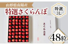 【令和7年産先行予約】 さくらんぼ 48粒 (特選 3L大玉 木箱入り) 《令和7年6月中旬～発送》 『最上園』 サクランボ ギフト 贈答 果物 フルーツ 産地直送 山形県 南陽市 [1333]