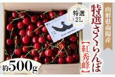 【令和7年産先行予約】 さくらんぼ 「紅秀峰」 約500g (特選 2L玉) バラ詰め 《令和7年6月中旬～発送》 『最上園』 サクランボ 果物 フルーツ 産地直送 山形県 南陽市 [1336]