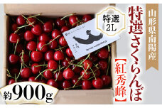 【令和7年産先行予約】 さくらんぼ 「紅秀峰」 約900g (特選 2L玉) バラ詰め 《令和7年6月中旬～発送》 『最上園』 サクランボ 果物 フルーツ 産地直送 山形県 南陽市 [1335]