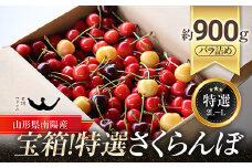 【令和7年産先行予約】 宝箱！特選 さくらんぼ 3種 約900g (特選 L～2L) バラ詰め 《令和7年6月中旬～発送》 『最上園』 サクランボ 佐藤錦 月山錦 サミット 食べ比べ 果物 フルーツ 産地直送 山形県 南陽市 [1337]