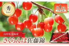 【令和7年産先行予約】 さくらんぼ 「佐藤錦」 約1kg (秀 L以上) バラ詰め 《令和7年6月中旬～発送》 『田口農園』 サクランボ 果物 フルーツ 産地直送 生産農家直送 山形県 南陽市 [1129]