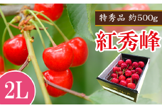 【令和7年産先行予約】 さくらんぼ 「紅秀峰」 約500g (特秀 2L) 《令和7年6月下旬～発送》 『マルエ青果』 先行予約 サクランボ 果物 フルーツ 山形県 南陽市 [1406]