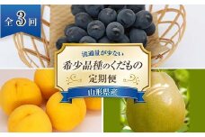 【令和8年産先行予約】 《定期便3回》 流通量が少ない"希少品種の" くだもの定期便 『南陽中央青果市場』 山形県 南陽市 [1407-R8]