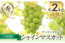 【令和7年産先行予約】 シャインマスカット 約2kg (2～5房 秀) 《令和7年9月下旬～11月中旬発送》 『フードシステムズ』 マスカット 葡萄 ぶどう 種なし 果物 フルーツ デザート 山形県 南陽市 [1388]