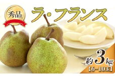 【令和7年産先行予約】 ラ・フランス 約3kg (6～10玉 秀) 《令和7年10月下旬～11月下旬発送》 『フードシステムズ』 ラフランス 西洋梨 洋なし 果物 フルーツ デザート 山形県 南陽市 [848-R7]