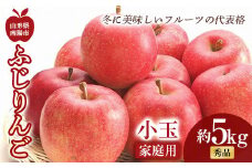 【令和6年産先行予約】 〈家庭用〉 小玉 ふじりんご 約5kg (20～25玉 秀) 《令和6年11月中旬～12月下旬発送》 『フードシステムズ』 林檎 リンゴ 果物 フルーツ デザート 山形県 南陽市 [1392-R6]