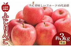 【令和6年産先行予約】 ふじりんご 約3kg (6～10玉 秀) 《令和6年11月中旬～12月下旬発送》 『フードシステムズ』 林檎 リンゴ 果物 フルーツ デザート 山形県 南陽市 [850-R6]