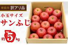 〈訳あり品 家庭用〉 りんご 「完熟サンふじ」 食べきりサイズ 約5kg (30玉程度 小玉サイズ) バラ詰め 《令和6年12月中旬～1月下旬》 『旬の果実 佐藤市右衛門農園』 山形県 南陽市 [1408]