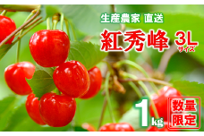 【令和6年産先行予約】 さくらんぼ 「紅秀峰」 約1kg (秀 3L以上) バラ詰め 《令和6年7月上旬～発送》 『田中農園』 サクランボ 果物 フルーツ 産地直送 生産農家直送 山形県 南陽市 [1430]