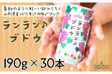 ランラン♪ブドウ ジュース 30本セット 『山形食品(株)』 山形県 南陽市 [1437]