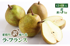 【令和7年産先行予約】 〈訳あり品 家庭用〉 ラ・フランス 約5kg（12～18玉） 《令和7年11月上旬～発送》 『生産者 山岸 誠』 山形県 南陽市 [1439]