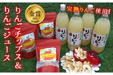 【野菜ソムリエサミット金賞受賞】 りんごの羽（無添加・ノンフライりんごチップス） 3袋 & 完熟りんご100％ジュース 4本詰合せ 『船中農園』 山形県 南陽市 [1460]