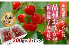 【令和7年産先行予約】 さくらんぼ 「佐藤錦または紅秀峰」 400g (200g×2パック 秀 L以上) 《令和7年6月上旬～発送》 『南陽中央青果市場』 小分け サクランボ 果物 フルーツ 山形県 南陽市 [1475]
