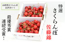 【令和6年産先行予約】 【最優秀賞W受賞農園】 さくらんぼ 「佐藤錦」 約1kg (特選 2～3L) バラ詰め 《令和6年6月中旬～発送》 『遠藤果樹農園』 果物 フルーツ 山形県 南陽市 [1479]