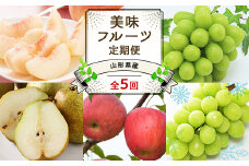 【令和7年産先行予約】 《定期便5回》 JA 夏秋冬美味フルーツ定期便 『JA山形おきたま』 山形県 南陽市 [1491]