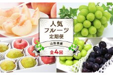 【令和7年産先行予約】 《定期便4回》 JA 夏秋冬人気フルーツ定期便 『JA山形おきたま』 山形県 南陽市 [1492]