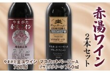 赤湯ワインセット (無添加ワイン ＆ マスカットベーリーAブラッククイーン) 山形県 南陽市 [1506]