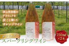 果樹園生まれの 「漆山スパークリングワイン (デラウェア)」 750ml×2本セット 『漆山果樹園』 自家栽培 山形県 南陽市 [1515]